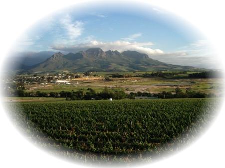 Stellenbosch